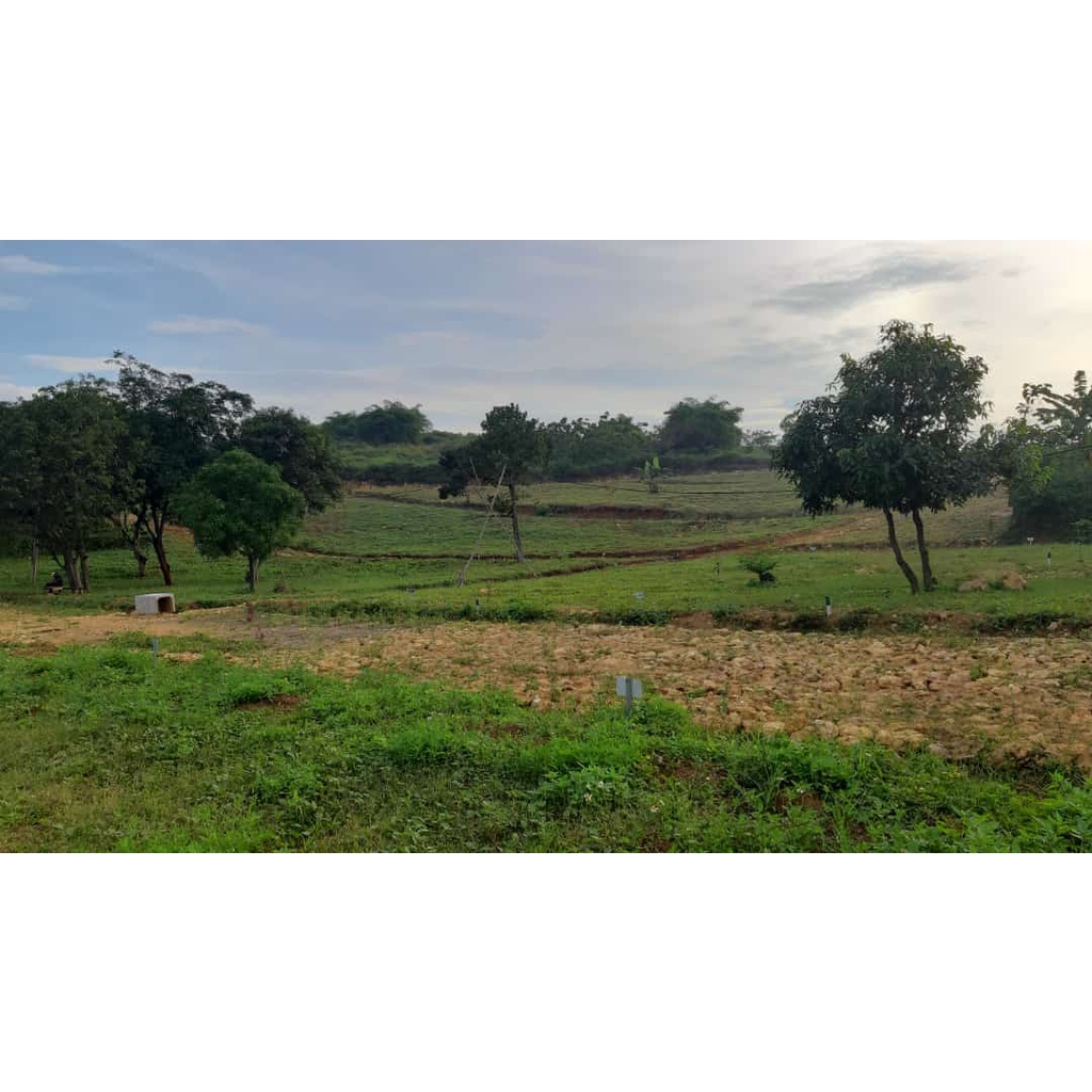 Tanah Kavling Cibubur Kawasan Industri