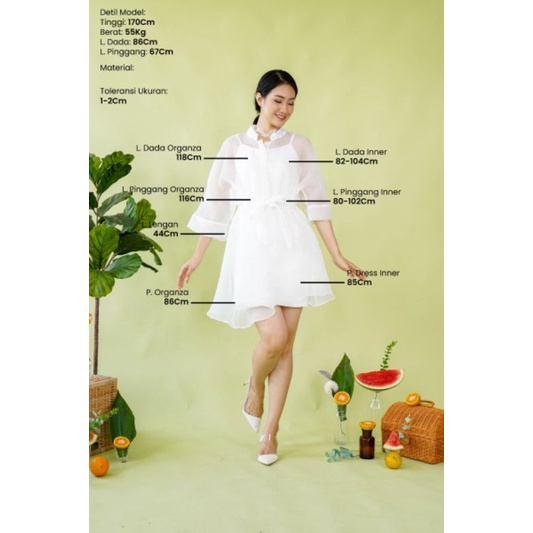 Isabel organza shirt dress l Dress organza