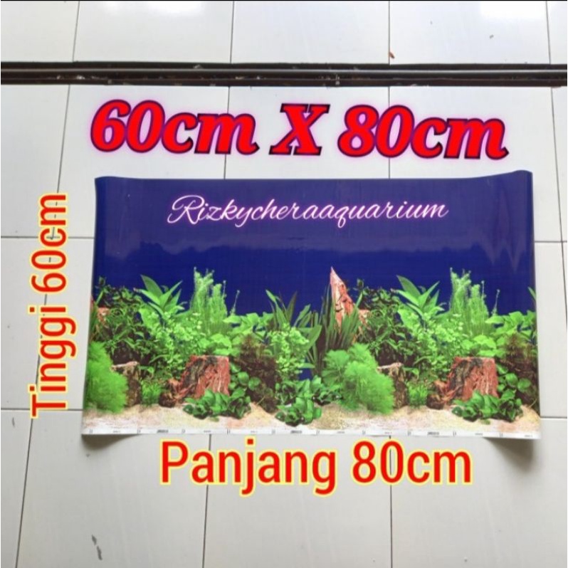 aquarium gambar Background 60cm X 80cm