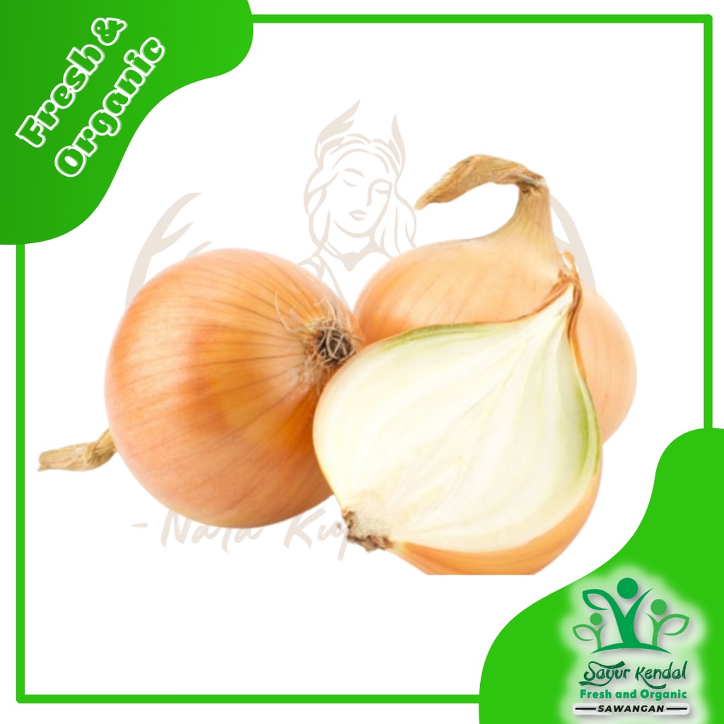 

Bawang Bombay 250gr - Sayur Kendal Sawangan
