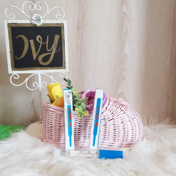 【BIGGER & BETTER】 TWD termometer air raksa