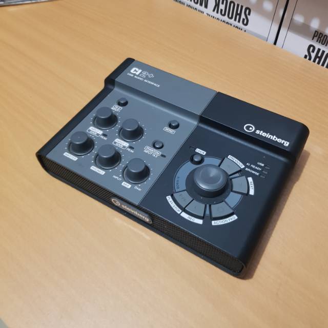 steinberg ci2+