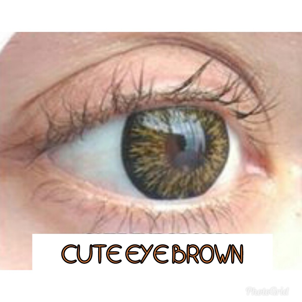 CUTE EYE BROWN (-0.50 S/D -6.00)