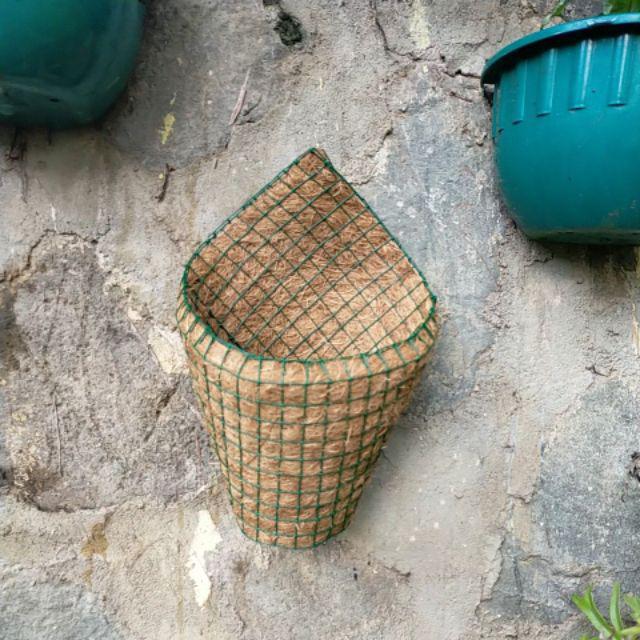 Pot tempel dinding serabut sabut kelapa anggrek SUGIASIH24 Pot tempel dinding serabut sabut kelapa anggrek SUGIASIH24