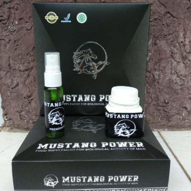 MUSTANG POWER PEMBESAR MR.P