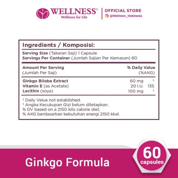 Wellnes Ginkgo Formula 60 Tablets