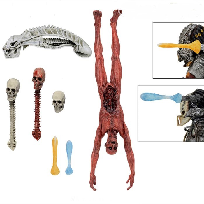 

Predator Accessories Pack