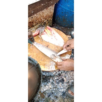 

ikan gabus fillet/1kg