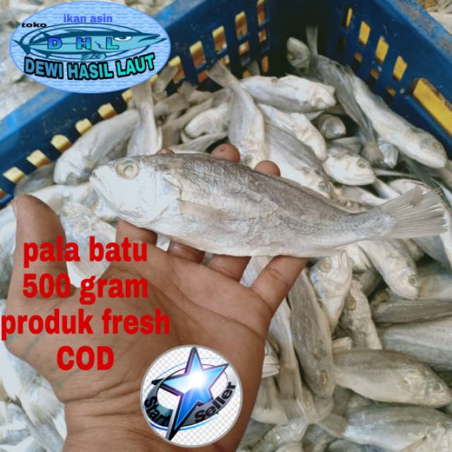 

Ikan asin pala batu 500 gram