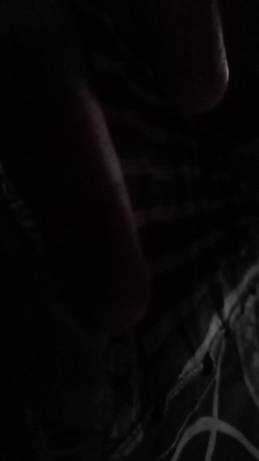 [220x240]karpet Jaguar/karpet Permadani Jumbo/tikar Murah