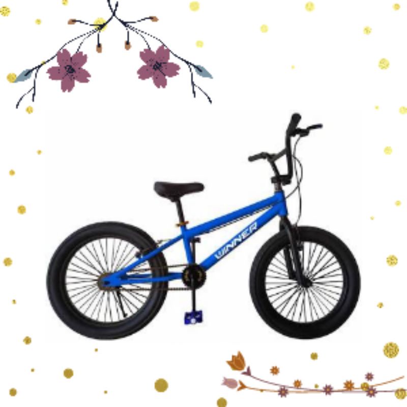 Bmx 20 winner biru