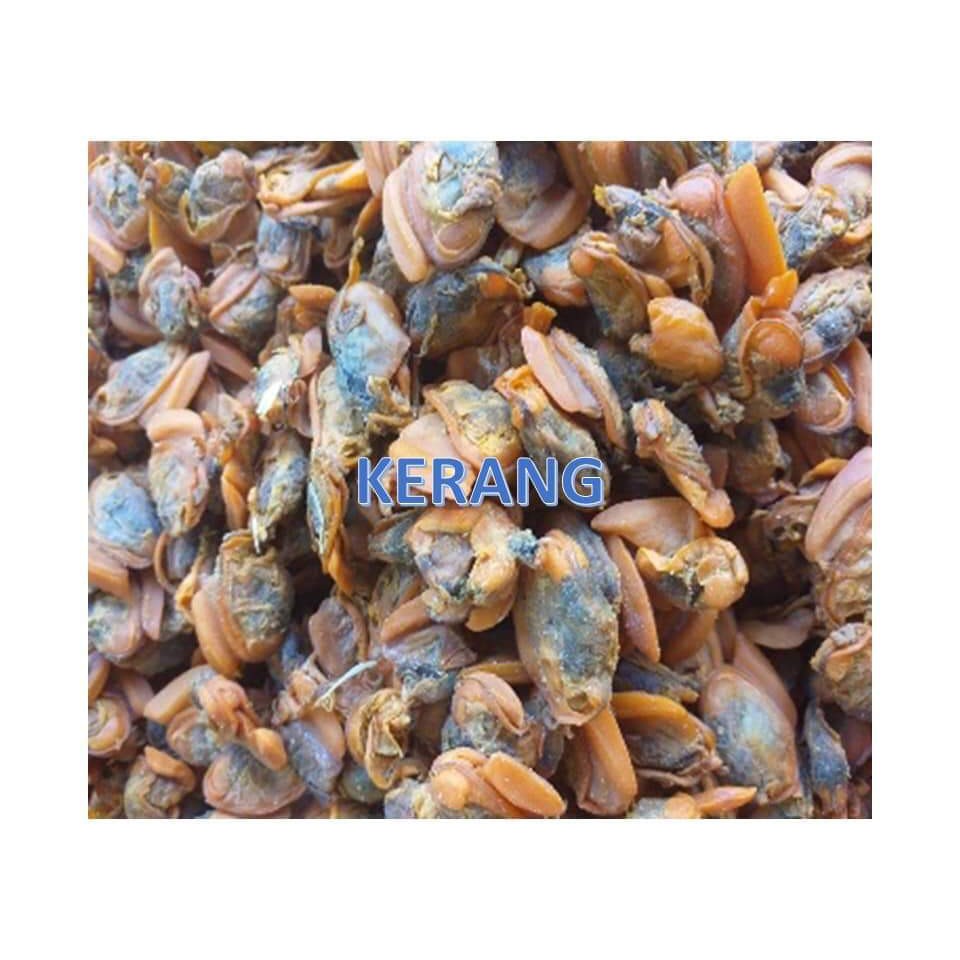 

Kerang Asin Segar