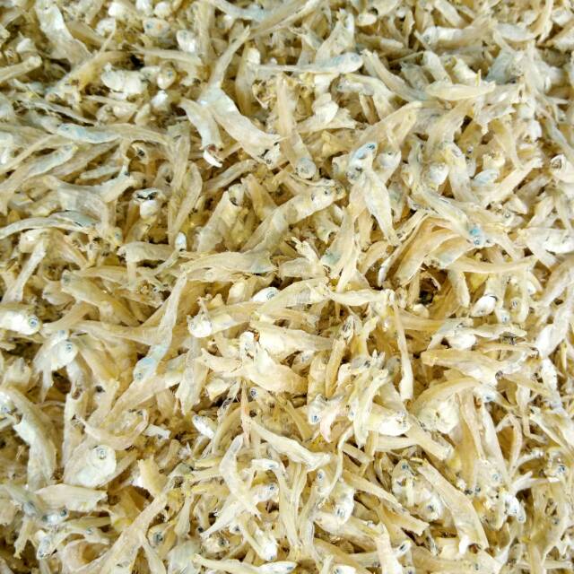

Teri / bilis asam asli Bengkalis murah