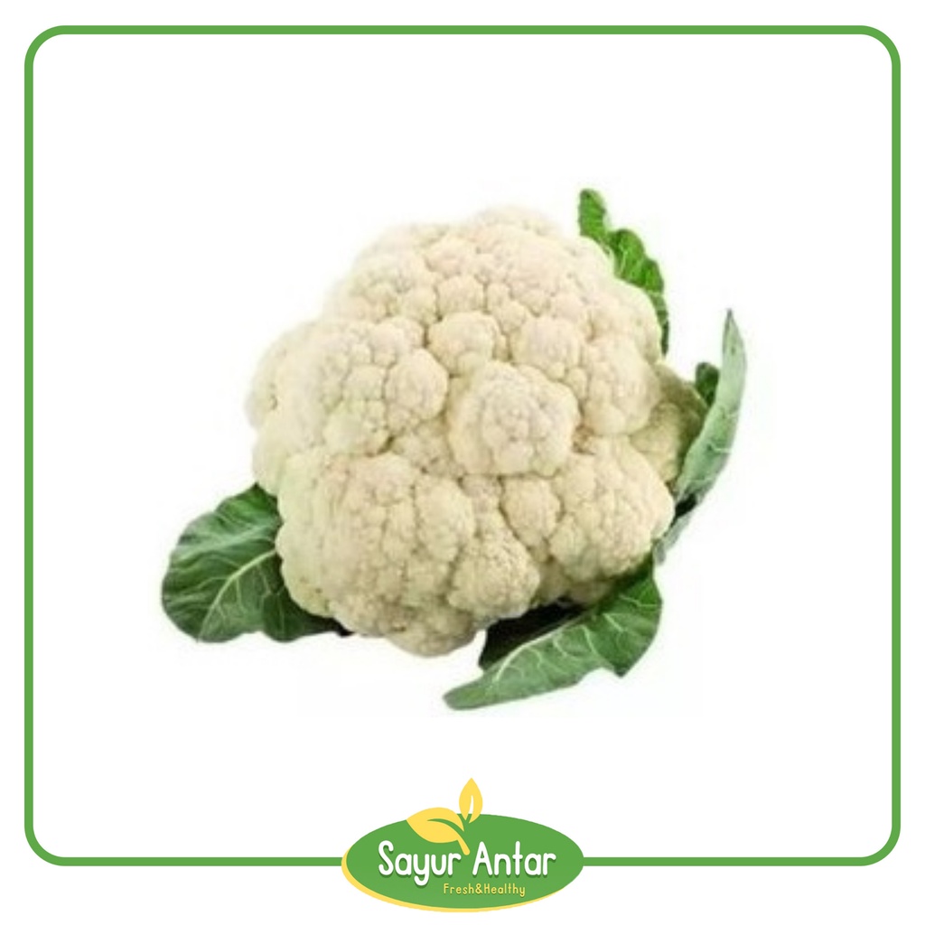 

Kembang Kol/ Burkol Putih 500 gr | Sayur.Antar | Free Ongkir Bandung Cimahi