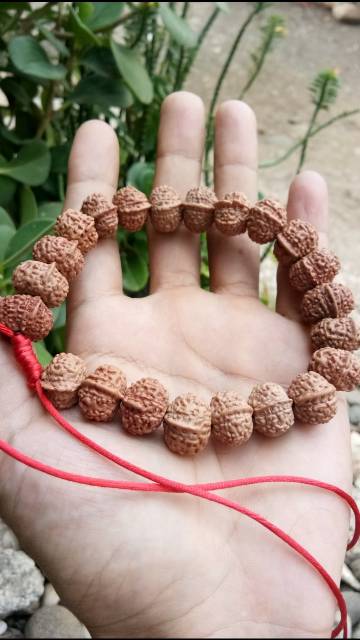 GELANG GANESHA JENITRI RUDRAKSHA