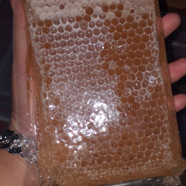 

Sarang madu