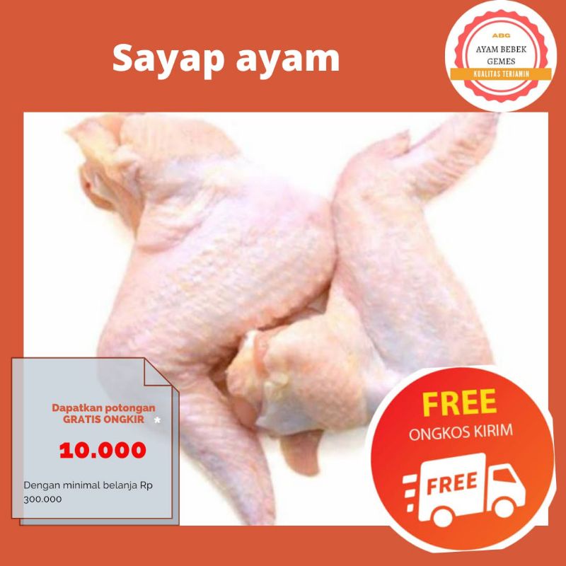 

Sayap ayam 1 kg 12-13