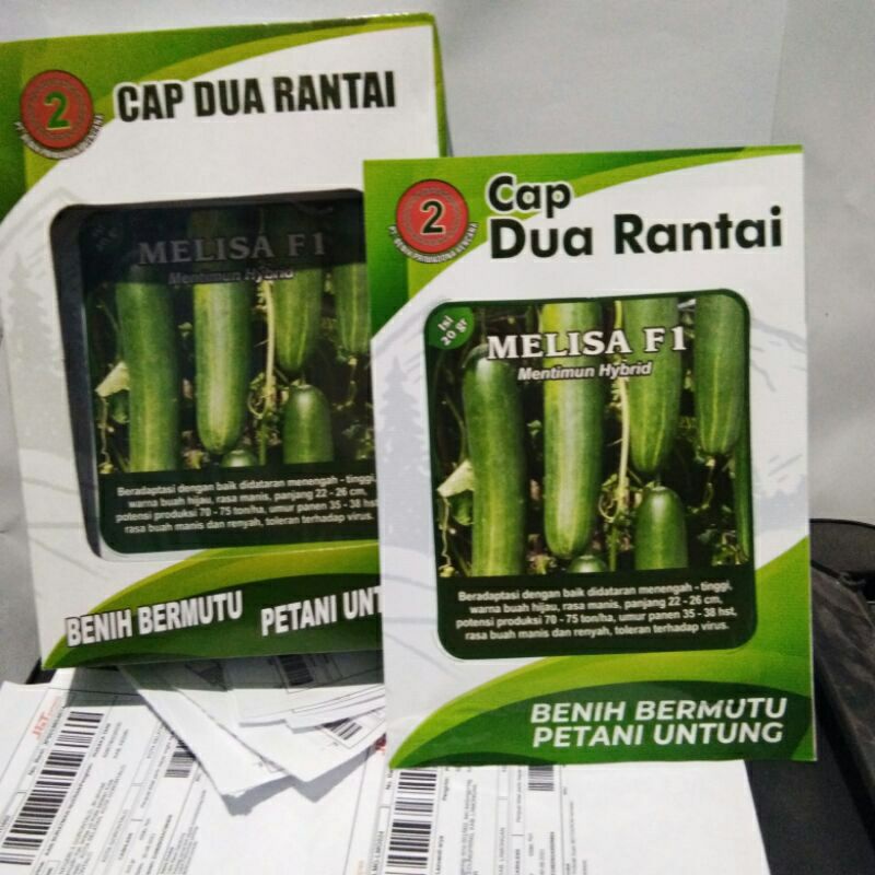 BENIH/BIBIT TIMUN(MENTIMUN/KETIMUN) MELISA HIBRIDA F1