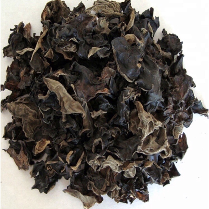 

1 BKS JAMUR TEKWAN / JAMUR KUPING