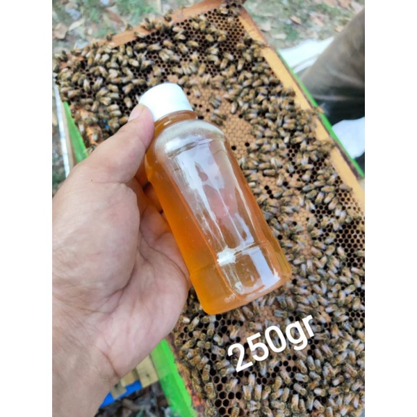 

Madu Murni Melifera 250gr