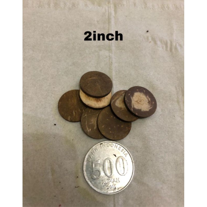 tatakas moss bonsai aquascape