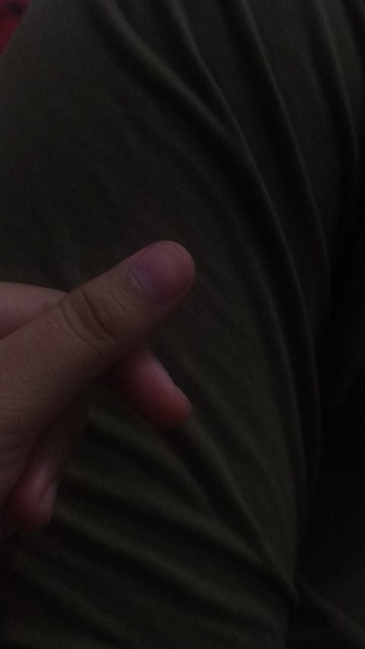 13 Set Pelubang Hidroponik Kayu / Paralon | Hole Saw Set