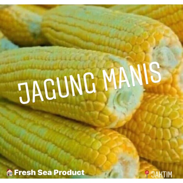 

Jagung Manis Kupas