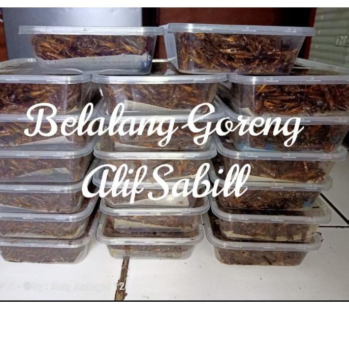 

9.9 BRANDS FESTIVAL Belalang Goreng COD jaktim cakung 