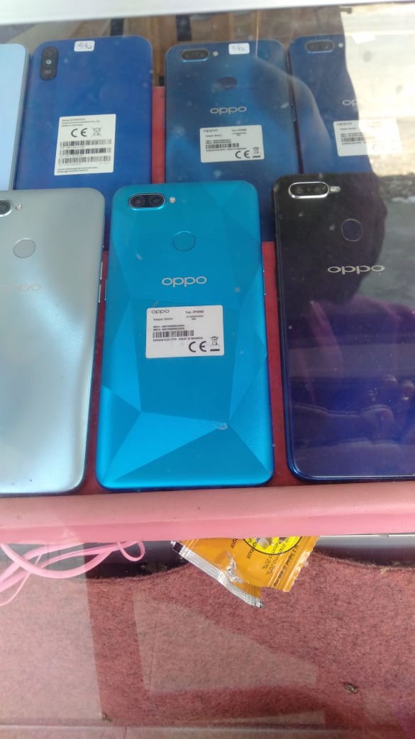 Benih Gambas, Benih Oyong Hibrida Ladies 10 Gram