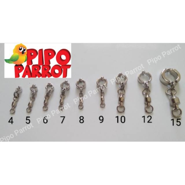 RING BURUNG RING BORGOL BURUNG