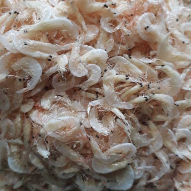 

Kacepe 500 gr /Rebon/ Ikan asin medan