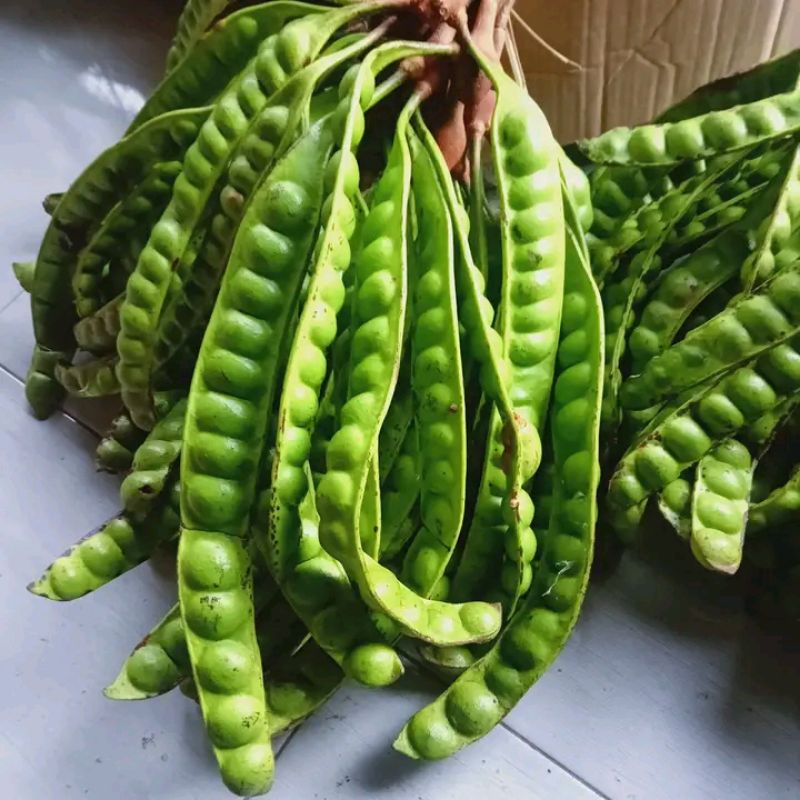 

buah pete segar murah per 1 papan