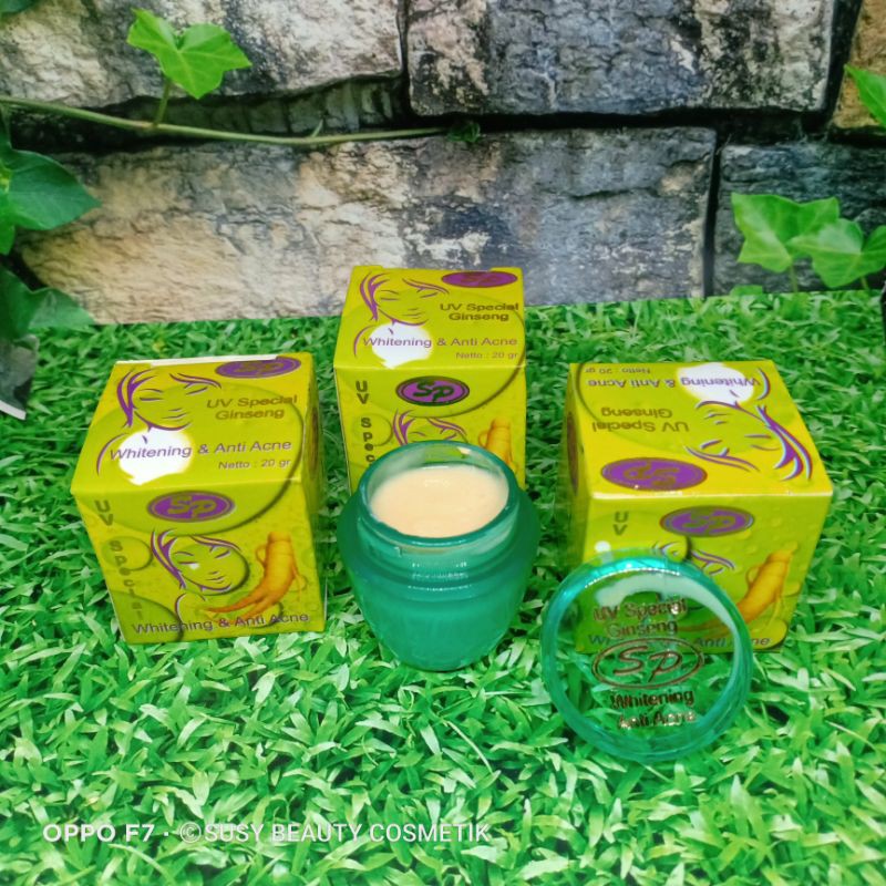 12 Pcs Cream Sp Ginseng ( Timbul )
