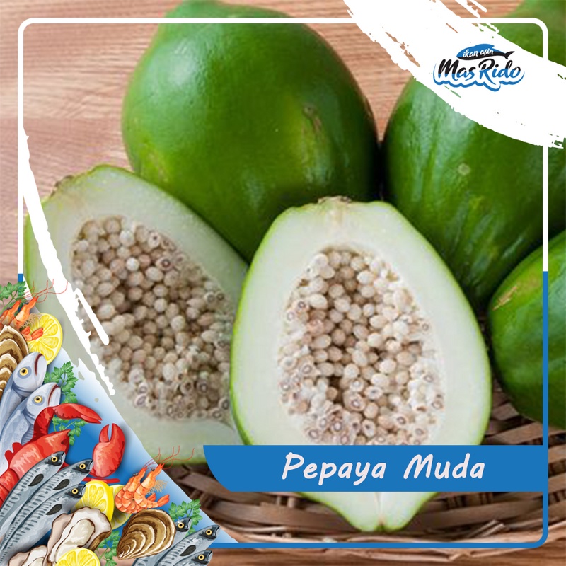 

PEPAYA MUDA SEGAR 1 BUAH SAYUR FRESH KWALITAS SUPER HARGA MURAH