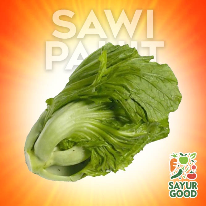 

Sawi Pahit Segar 500 gram (Sayur Segar)