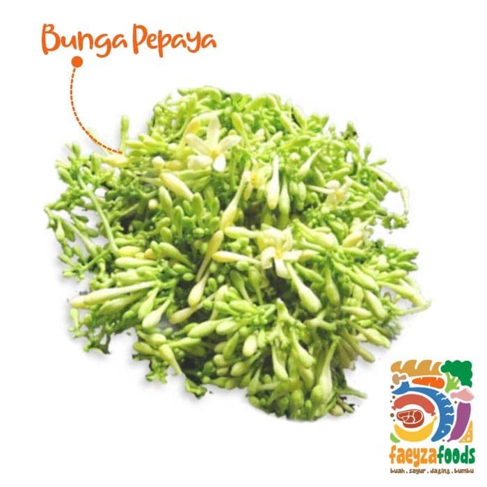

Bunga Pepaya (pack)