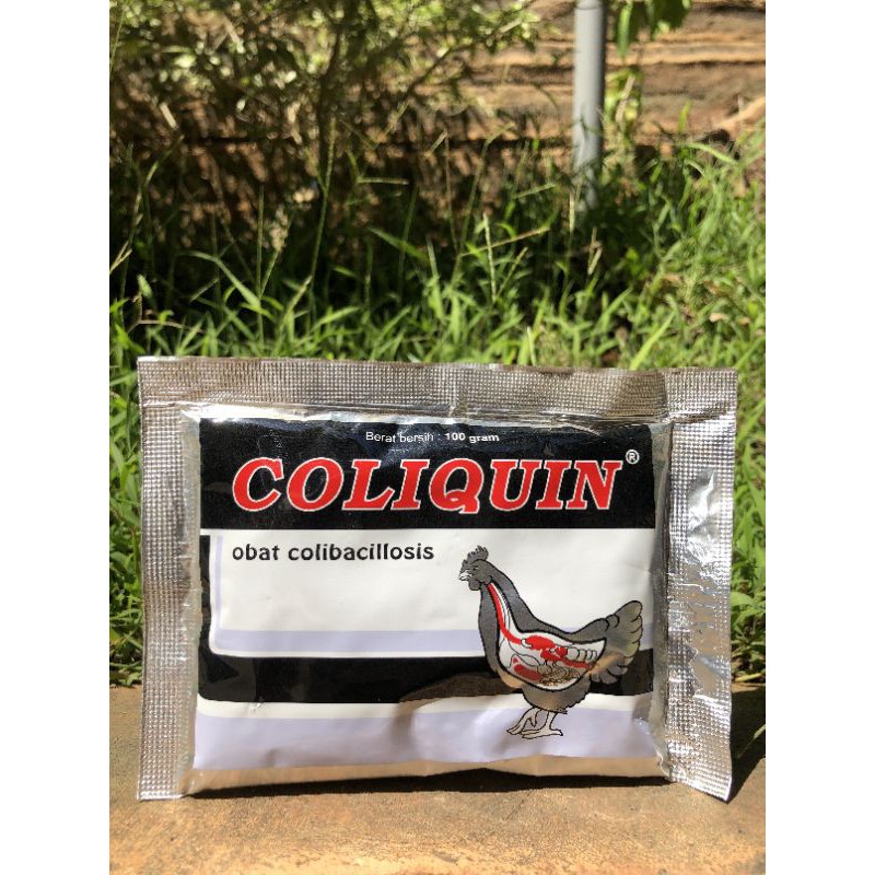 Coliquin 100gr (obat colibacillosis)
