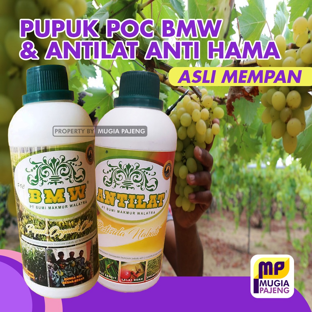 Jual Pupuk Organik Cair Poc Penyubur Tanaman Pelebat Buah Perangsang