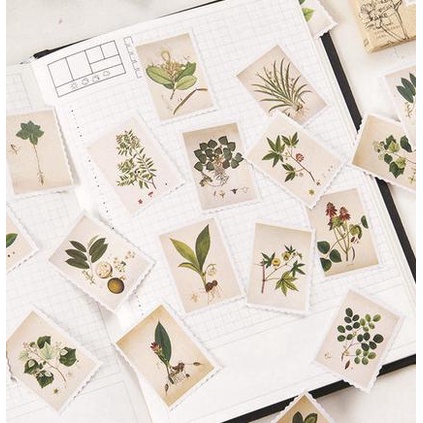 

Terbatas Label Sticker - Stamp Shape Plant (45Pcs) Sale!!!