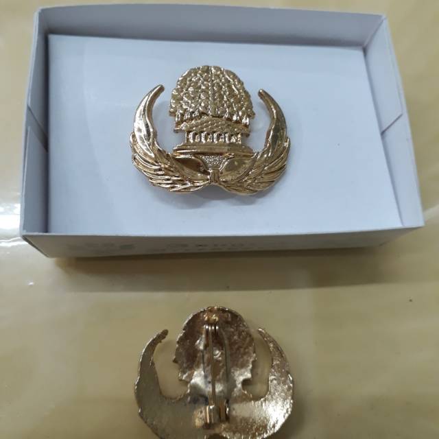 Pin Korpri