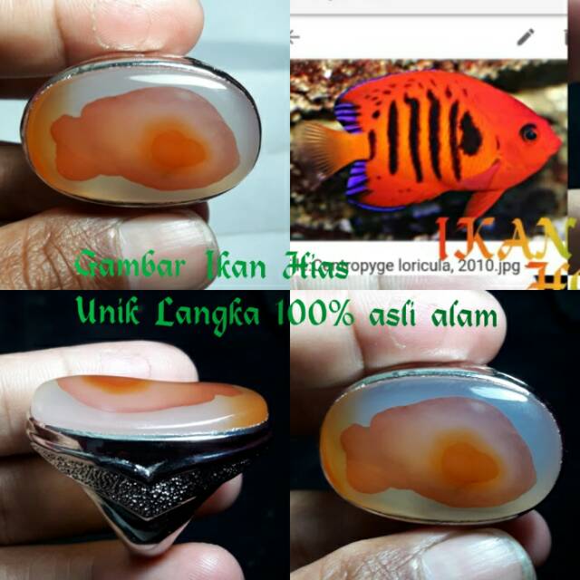NATURAL BATU AKIK MOTIF GAMBAR IKAN KERISTAL WARNA UNIK PILIHAN ASLI ALAMI 10