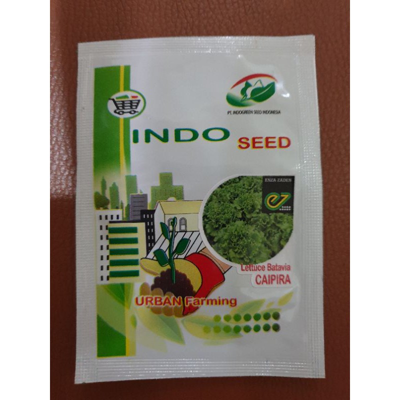Benih selada batavia Caipira 1 gram