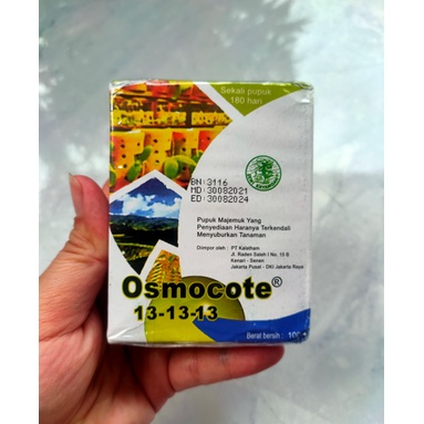 DEKASTAR/OSMOCOTE+131313+TE 100 GR