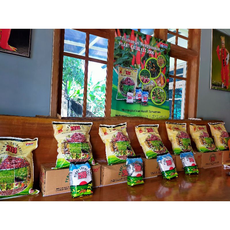 Pupuk Plant Catalyst 2006