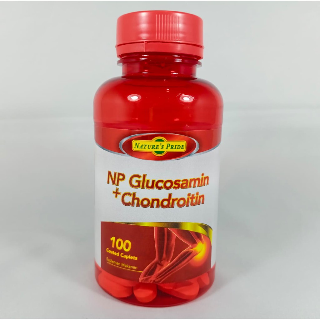 Nature's Pride NP Glucosamin + Chondroitin Isi 100 Coated Caplets