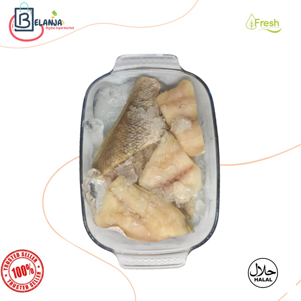 

Kakap Merah Fillet Fresh