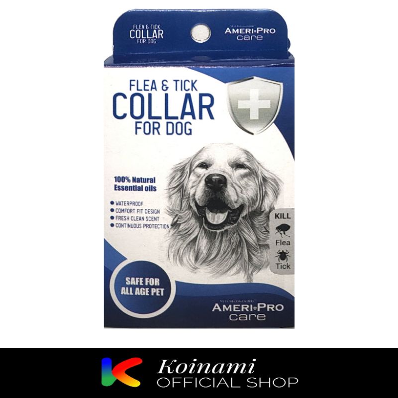 AMERI PRO KALUNG KUTU ANJING / FLEA &amp; TICK COLLAR FOR DOG