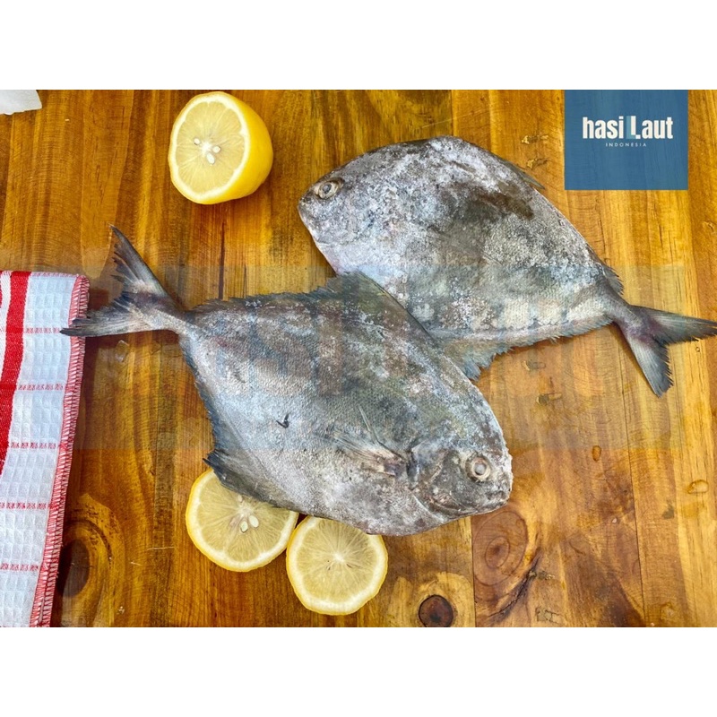 Ikan BAWAL HITAM Super PREMIUM/ Bawal Laut / Ikan Dorang