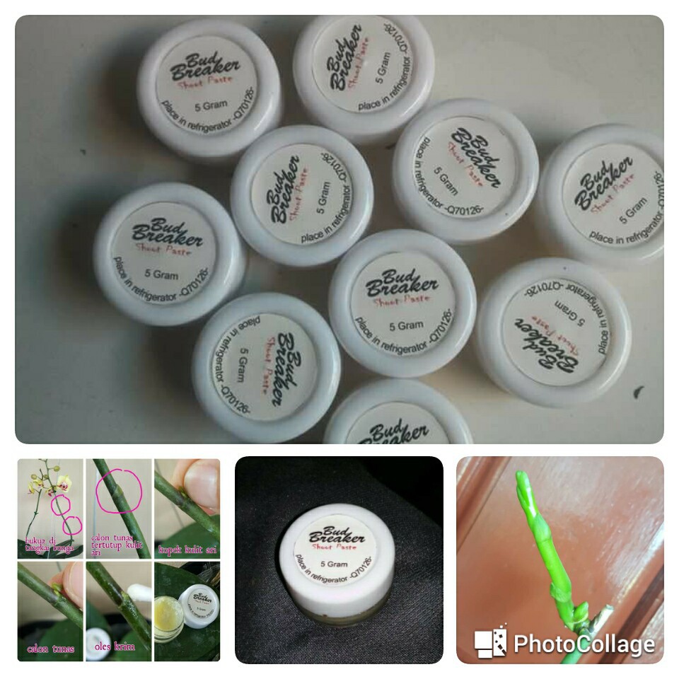 Bud Breaker 5 Gram Penumbuh Tunas Anggrek