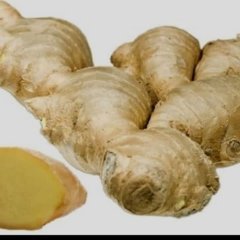 

Lempuyang Segar 500 gr